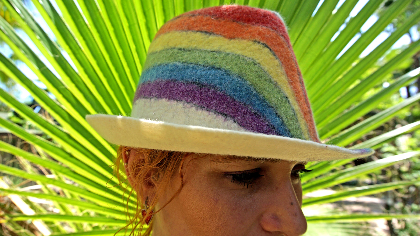 Stylish Rainbow Felt Hat for All Occasions