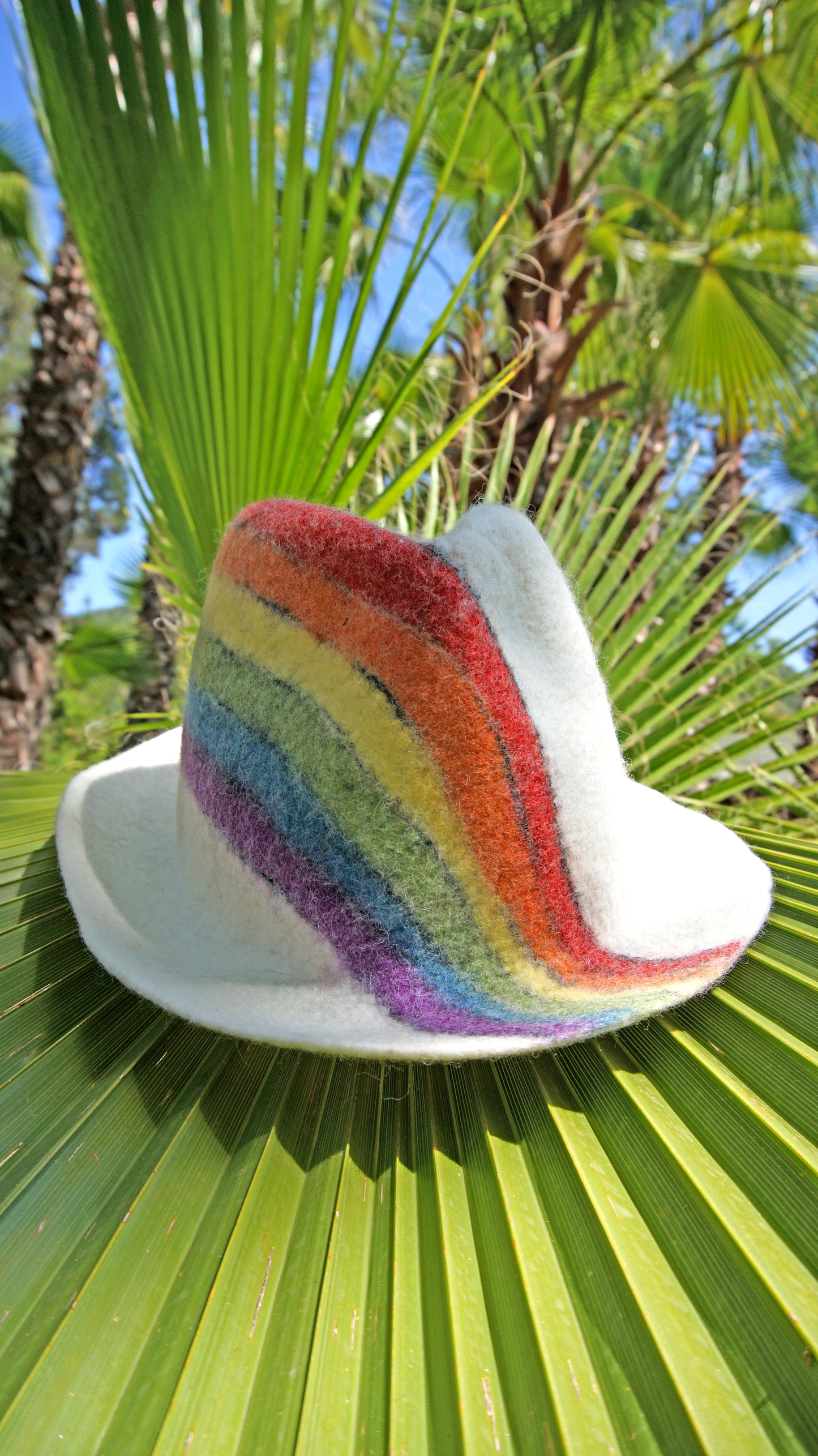 Stylish Rainbow Felt Hat for All Occasions